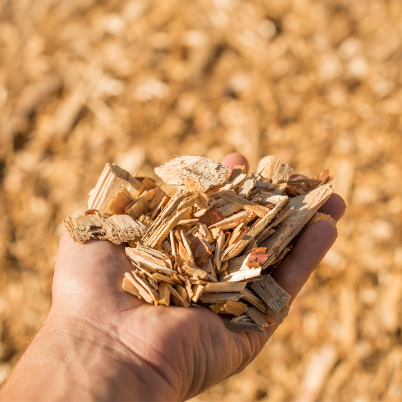Dryer Materials - wood chips, biomass, SRF