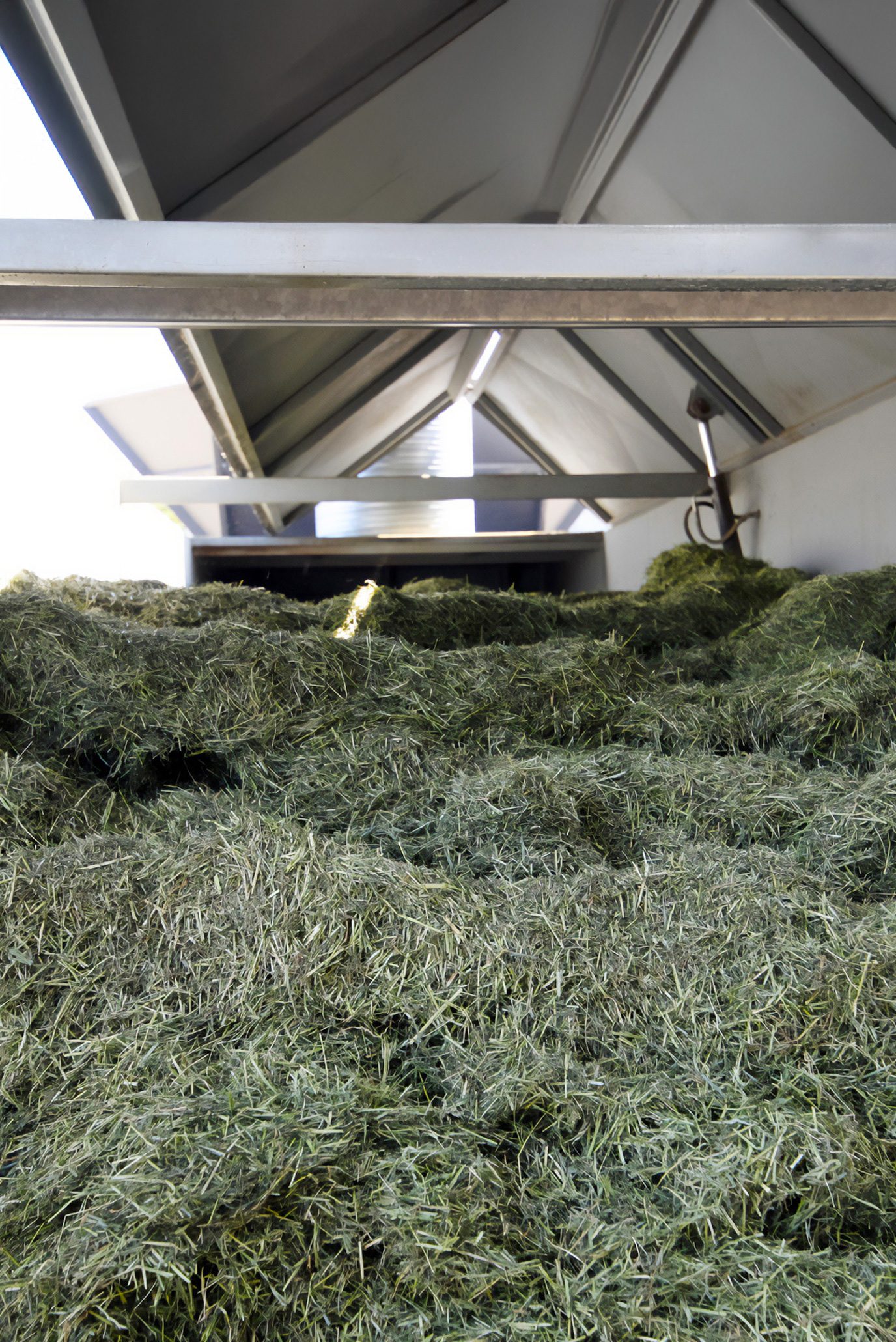 FlowDrya FD17 drying chopped silage in England