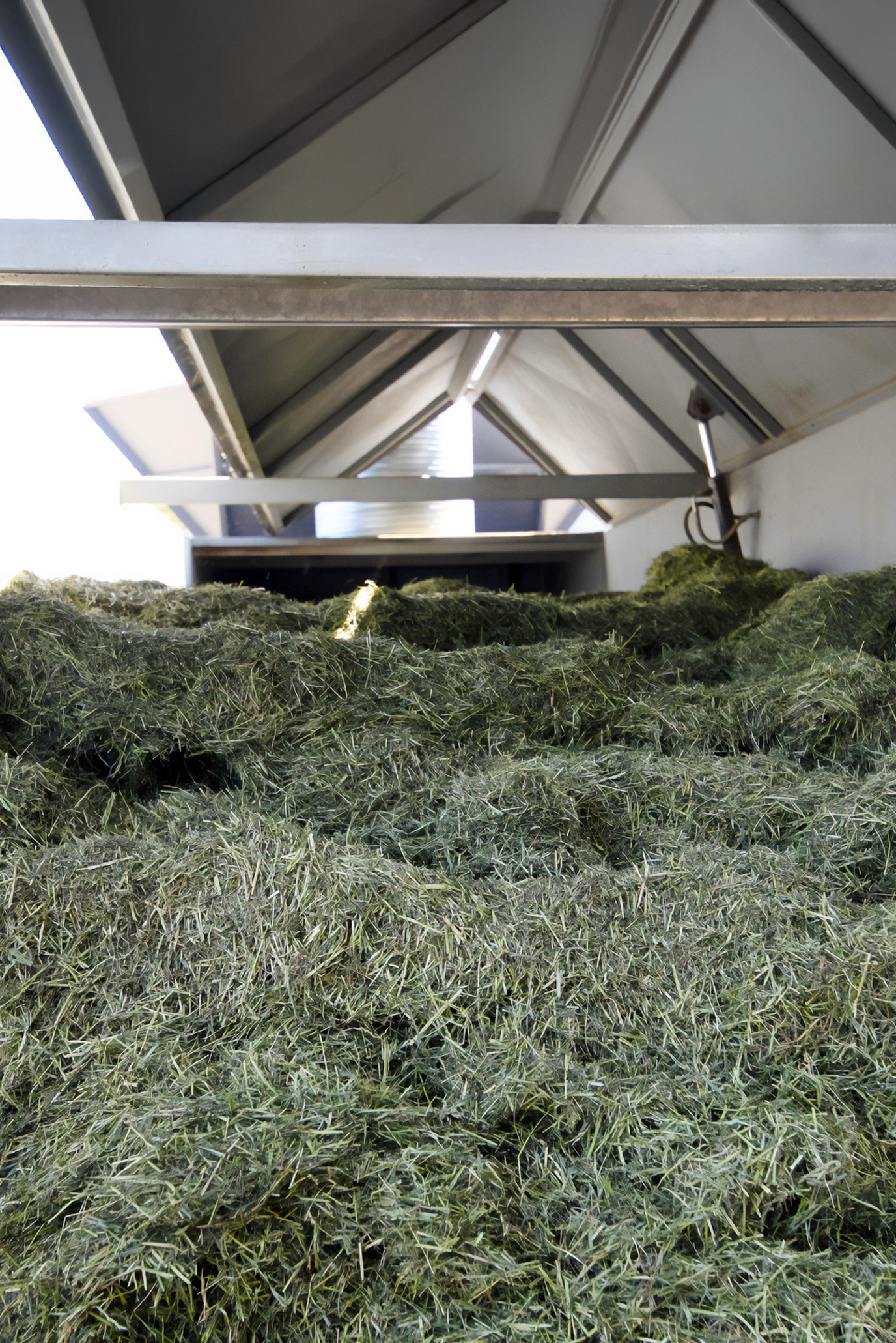 Bark drying England