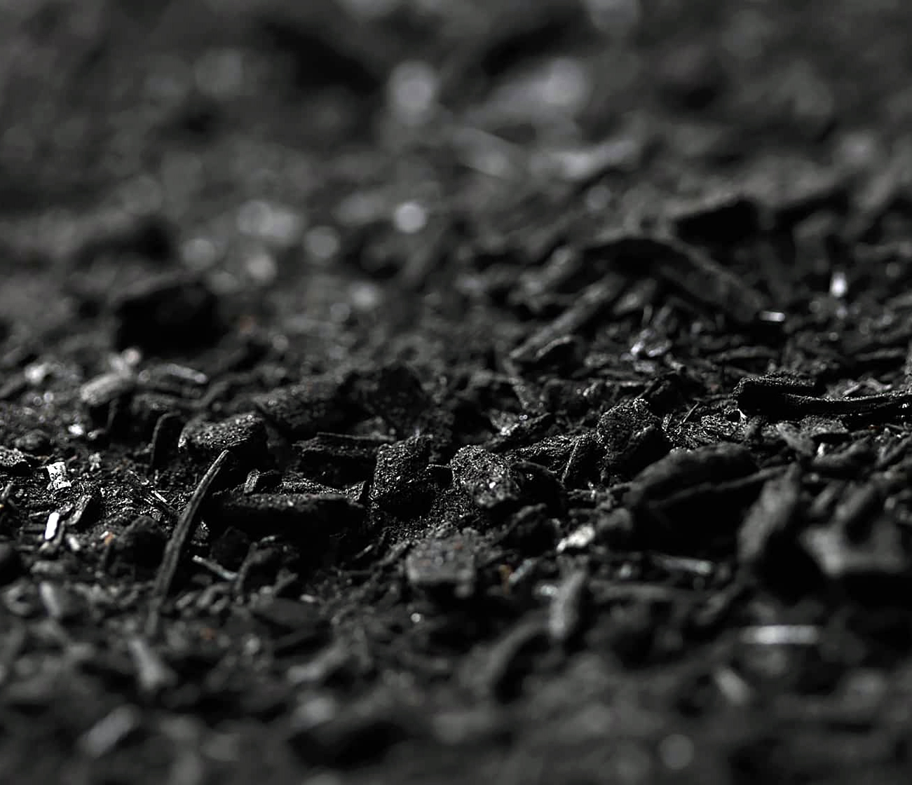 Various biochar feedstocks diagram