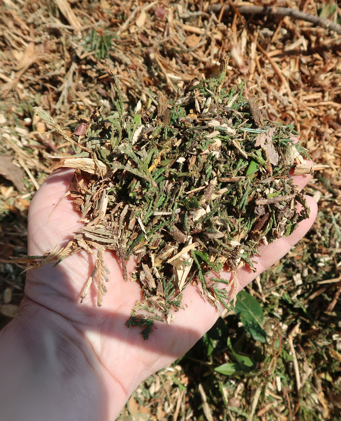 Dried arb-chip close-up