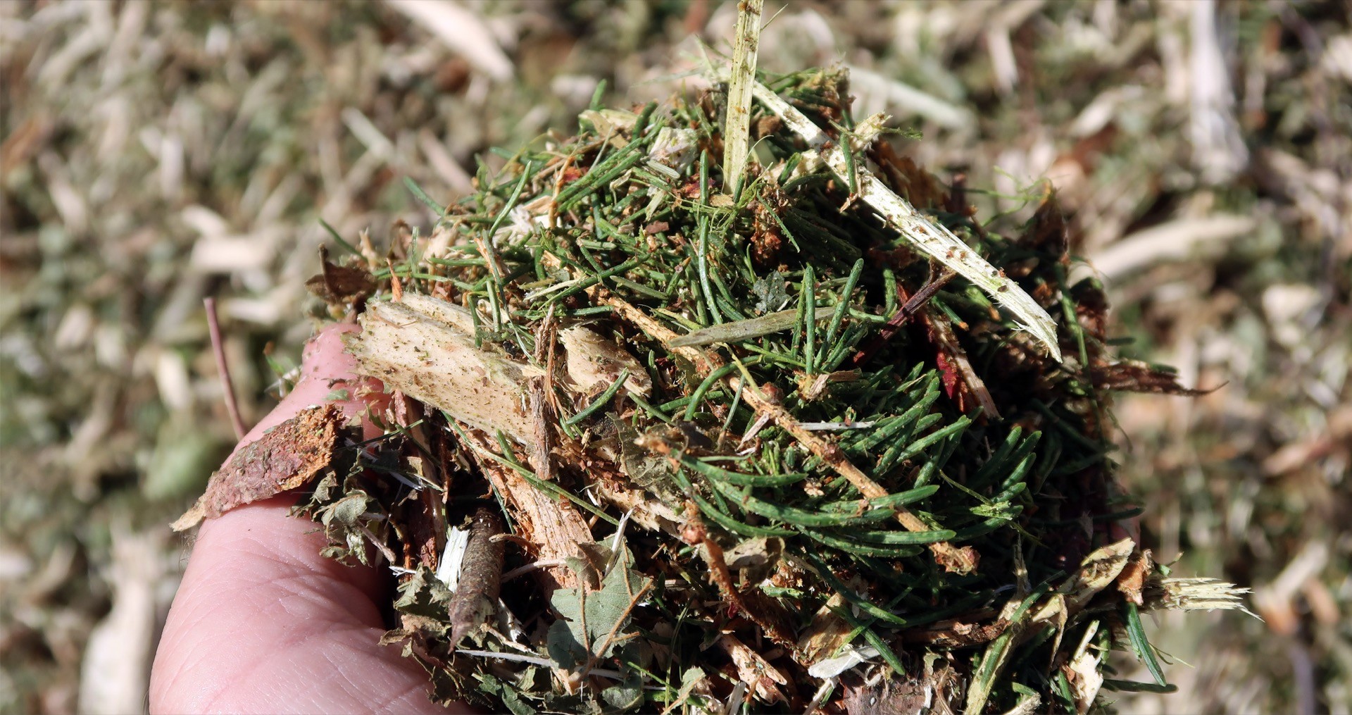 Drying Arb-Chip with FlowDrya