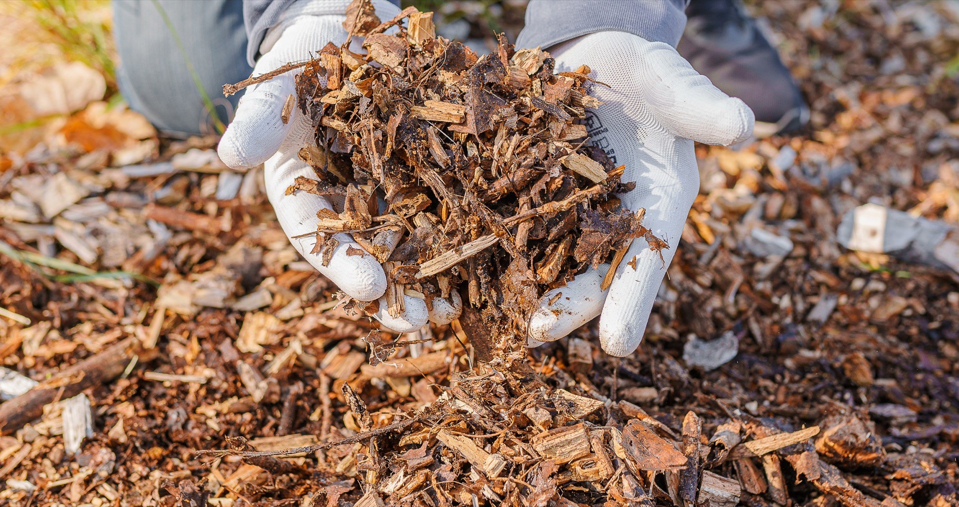 Drying Bark with FlowDrya