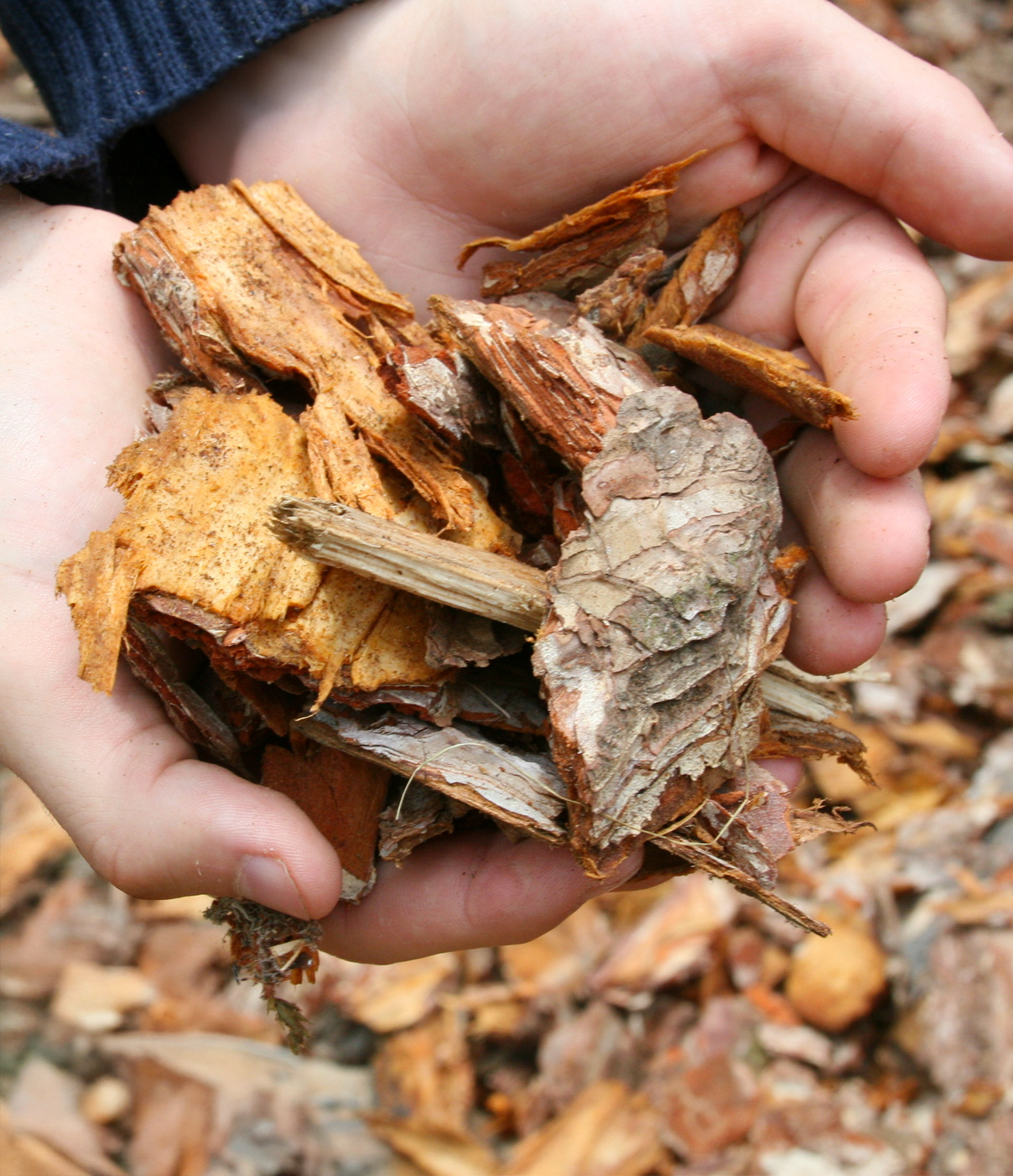 Dry ornamental bark chips for decorative ground cover