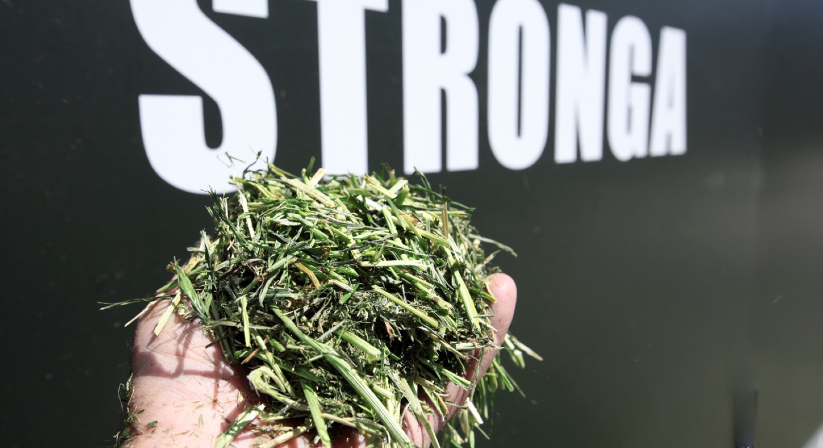 Drying Chopped Forage (Rye Grass Species) with FlowDrya