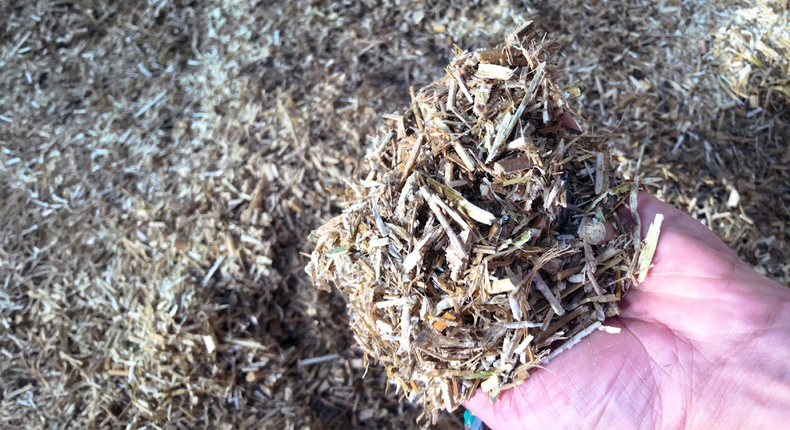Drying Chopped Miscanthus with FlowDrya