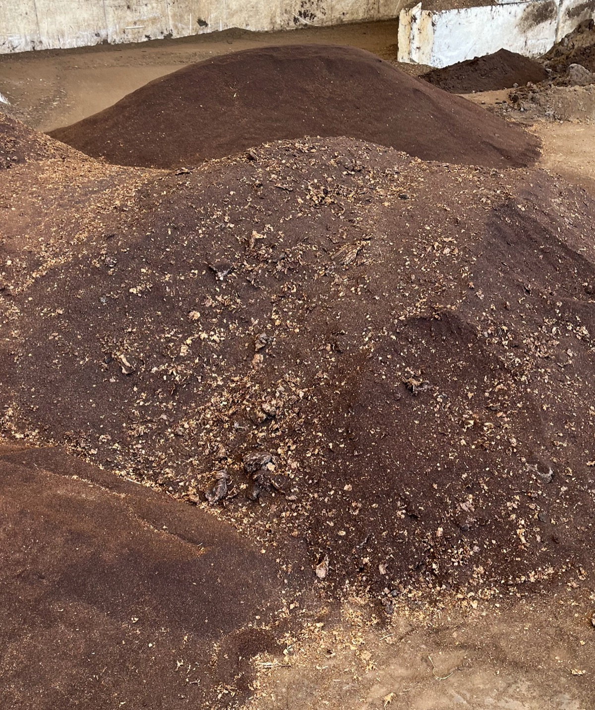 Heap of dried, processed coffee grounds ready for use as bio-fertiliser, biofuel or animal bedding