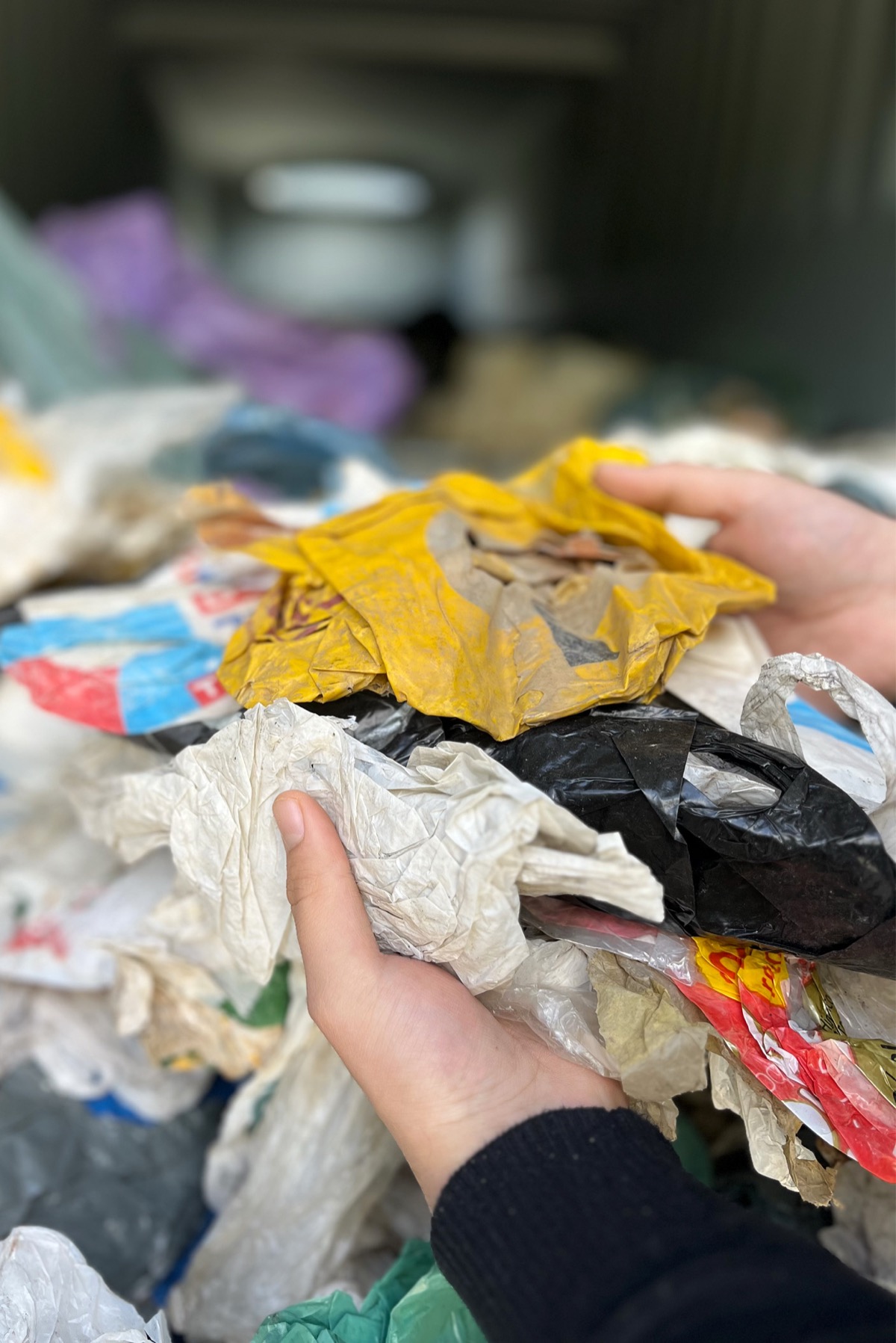 Drying Plastic Packaging Waste with FlowDrya