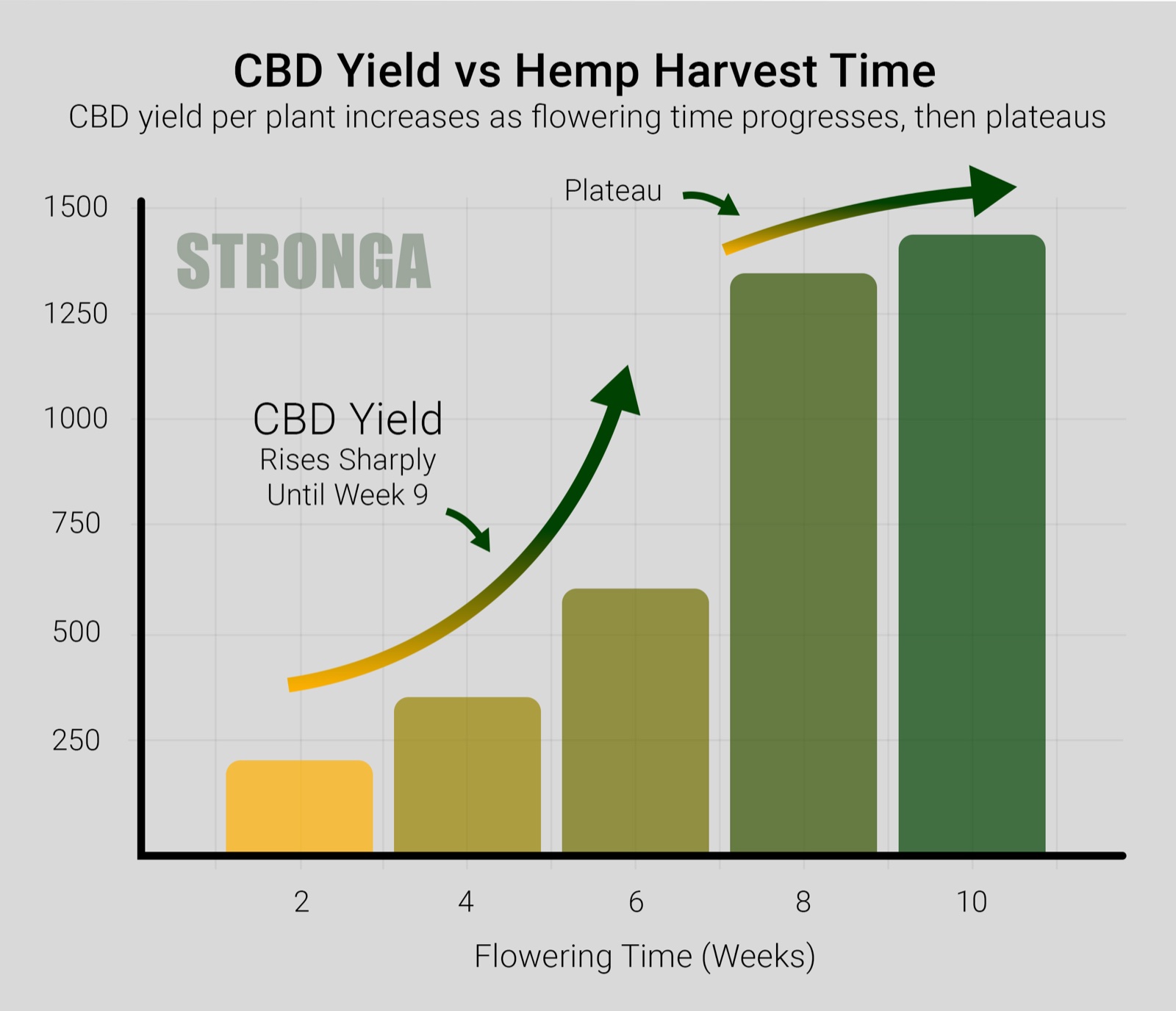 CBD Yield vs Hemp Harvest Time - CBD yield per plant increases as flowering time progresses, then plateaus around week 9