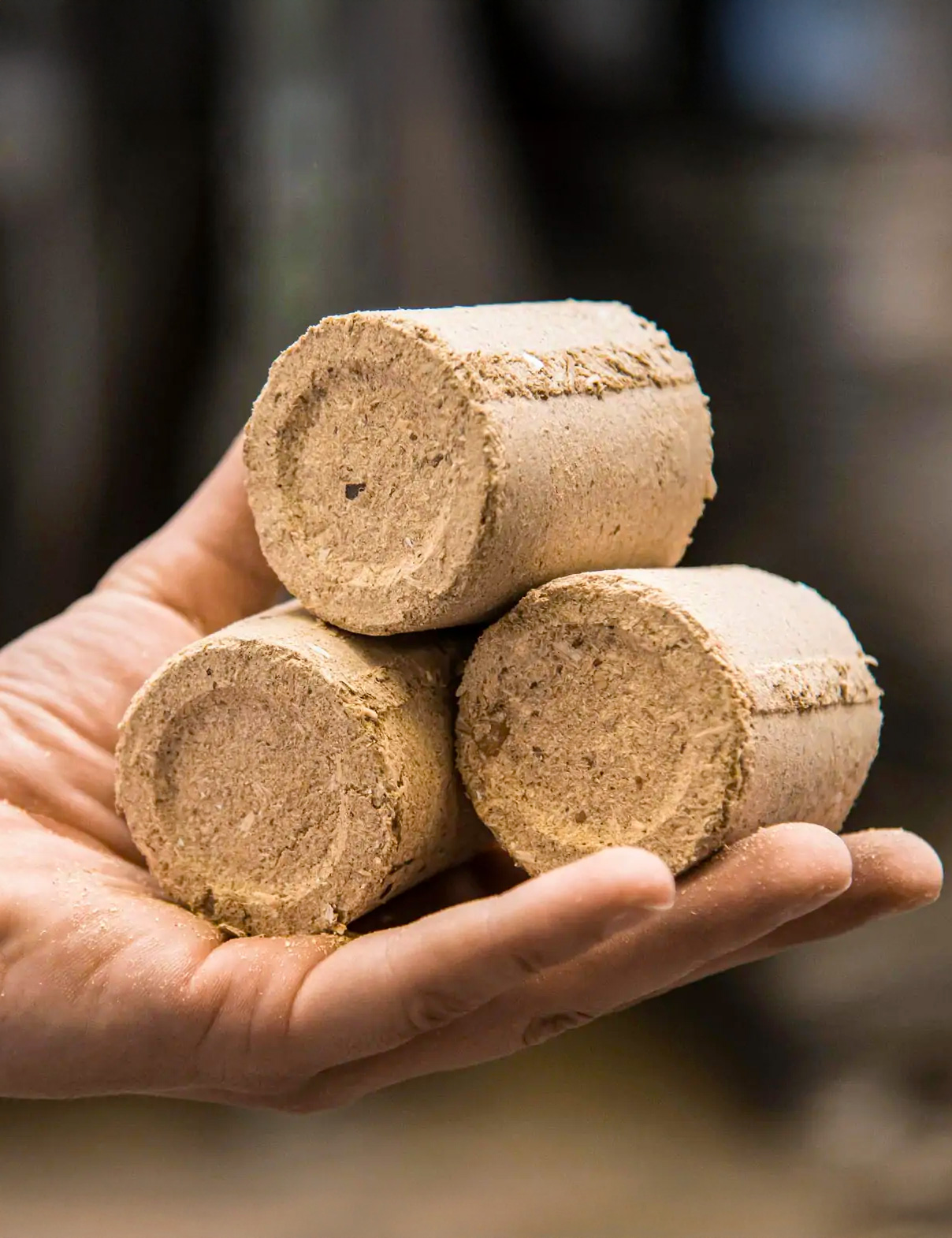 Wood briquettes produced from dried pallet wood