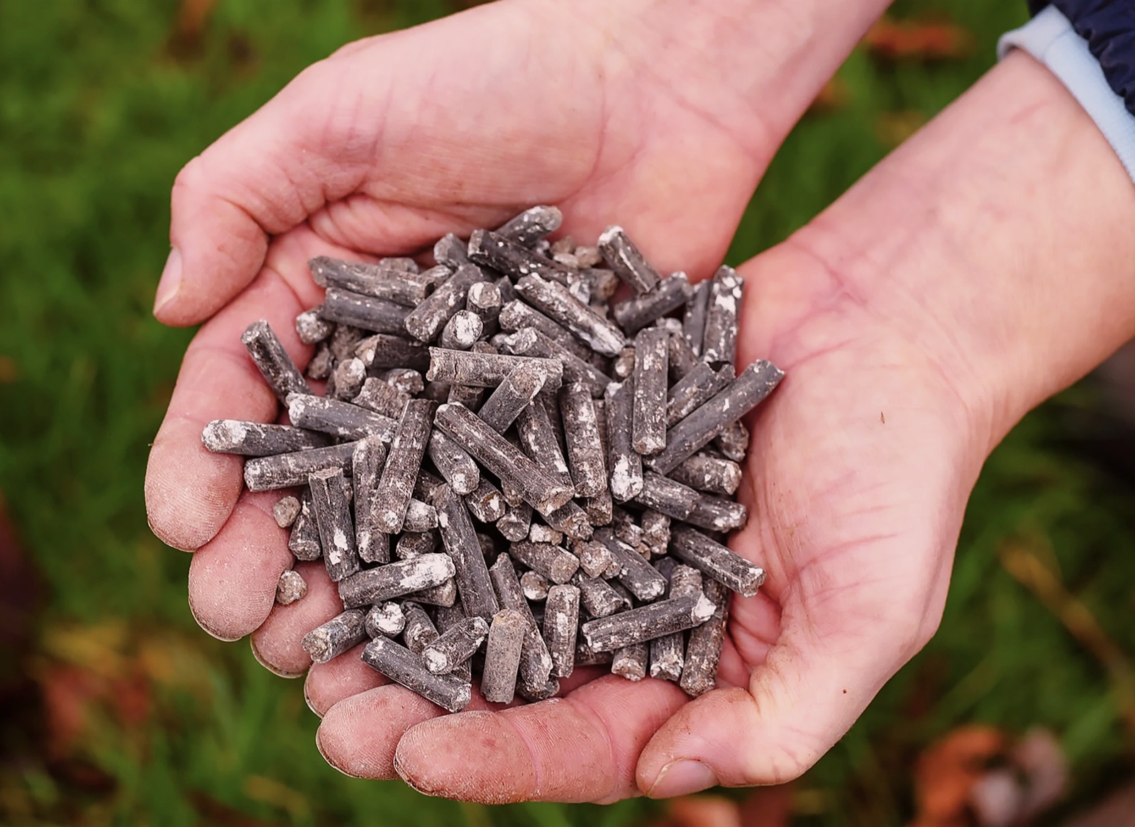 Hands holding dry organic poultry manure bio-fertiliser pellets produced with FlowDrya