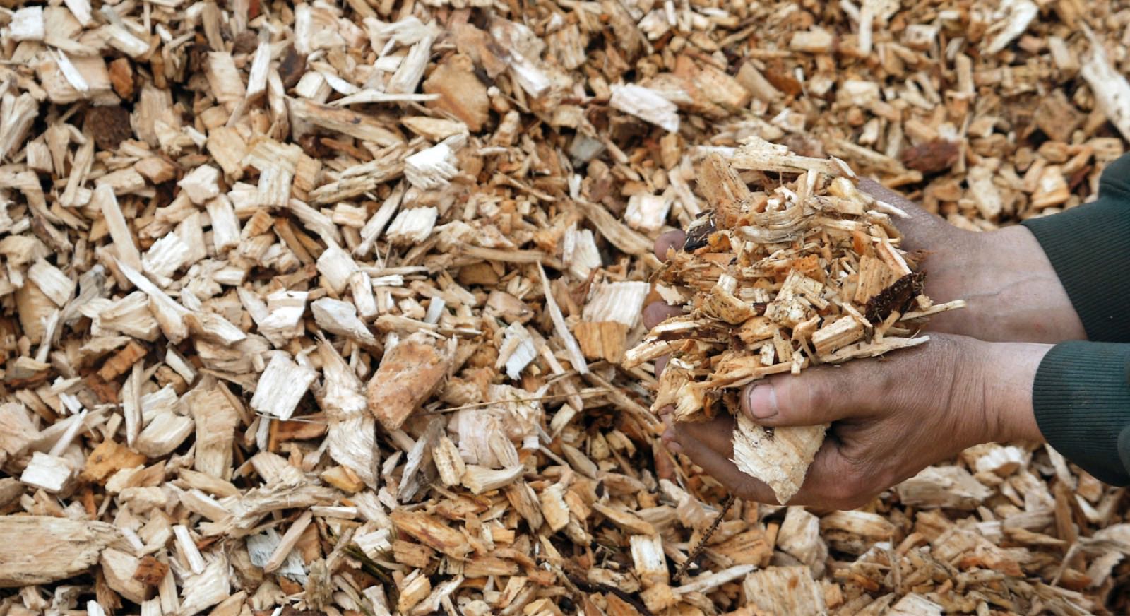 Drying Woodchip with FlowDrya