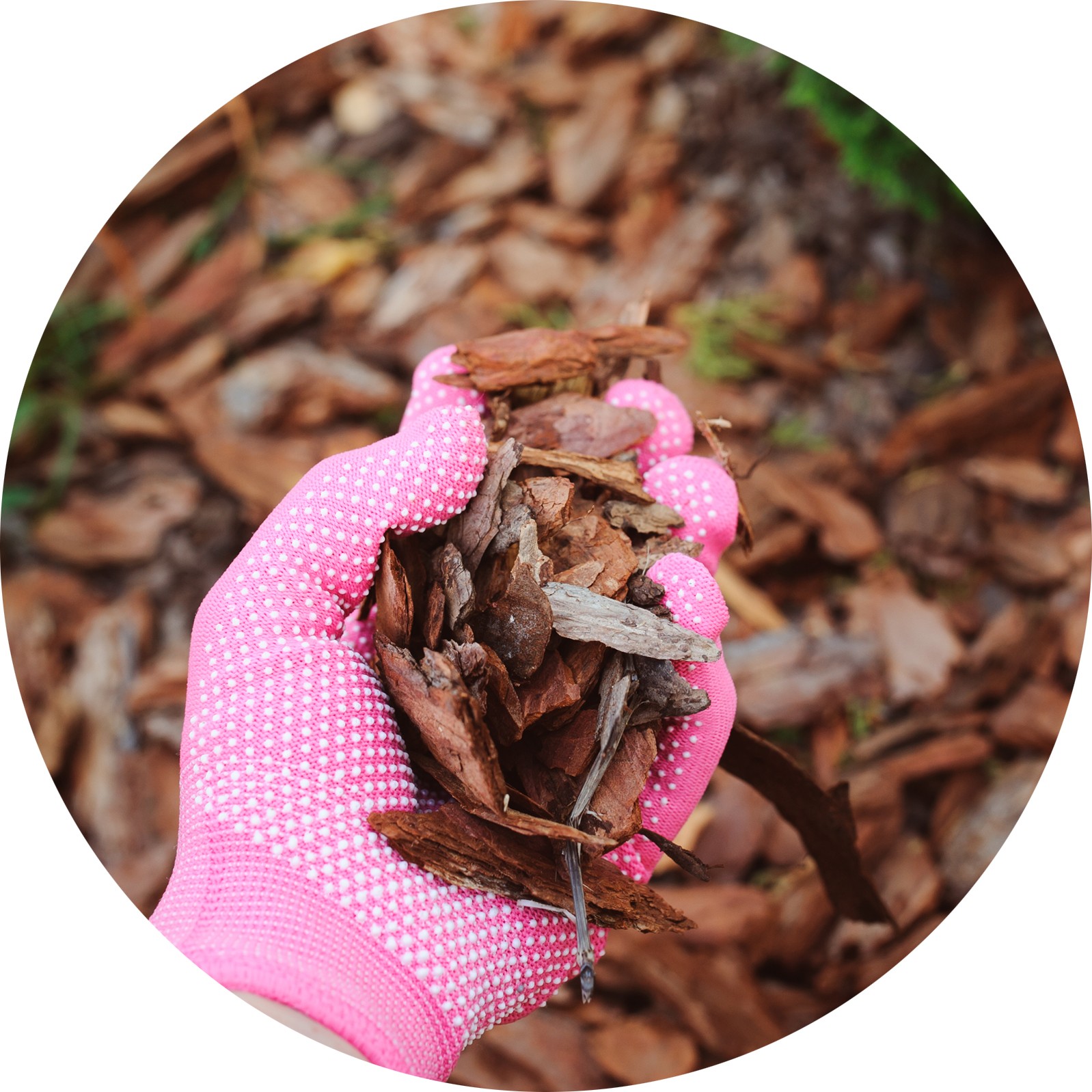 Ornamental Bark Nuggets