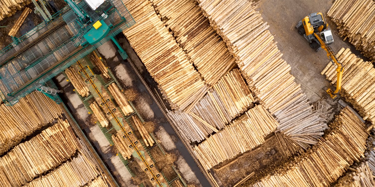 Equidomus sawmill drying woodchips with FlowDrya